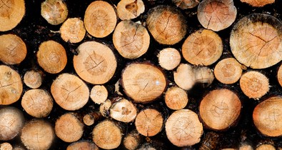 Az új tűzifa-rendelet a szegény háztartásokat szorítja leginkább csapdába