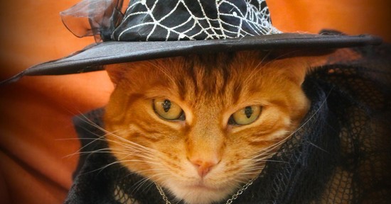 Démon helyett feminista erő: a boszorkánykultusz újjászületett és bátrabb, mint valaha