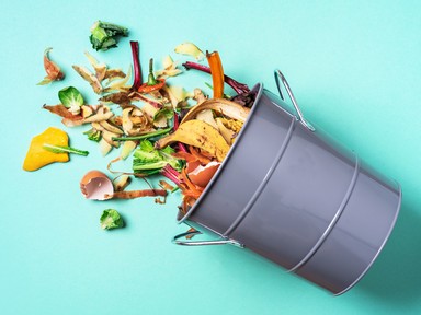 Komposztálás a városban? Lehetséges?