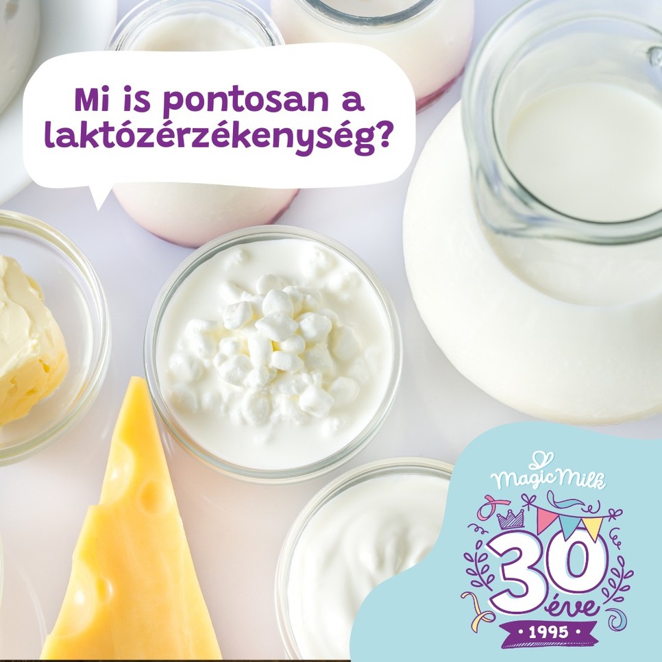 Tudtad, hogy a laktózérzékenység nem jelenti azt, hogy le kell mondanod a tejtermékekről? A laktózmentes étkezés segít élvezni az ízeket kellemetlen tünetek nélkül.