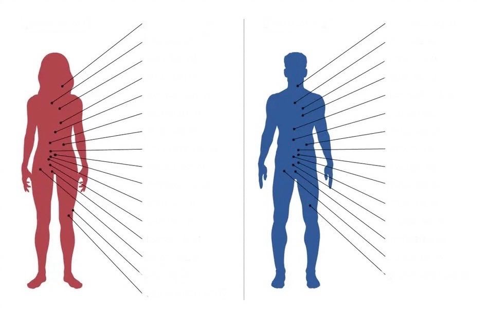 A szervek életkora soha nem egyforma