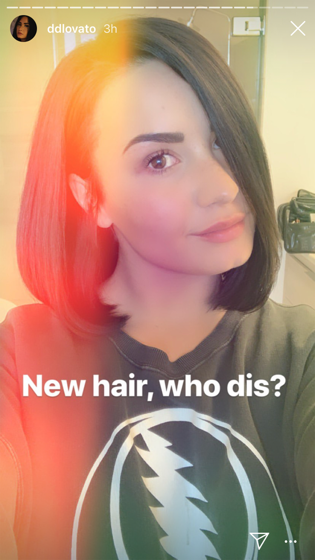 Demi Lovato haja