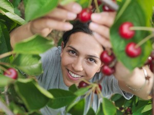Ezeket a gyümölcsfákat ültesd a kertedbe, ha szeretnéd, hogy generációkon keresztül éljenek