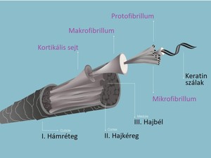 A keratin titkai: Hogyan hozd vissza hajad egészségét és ragyogását!