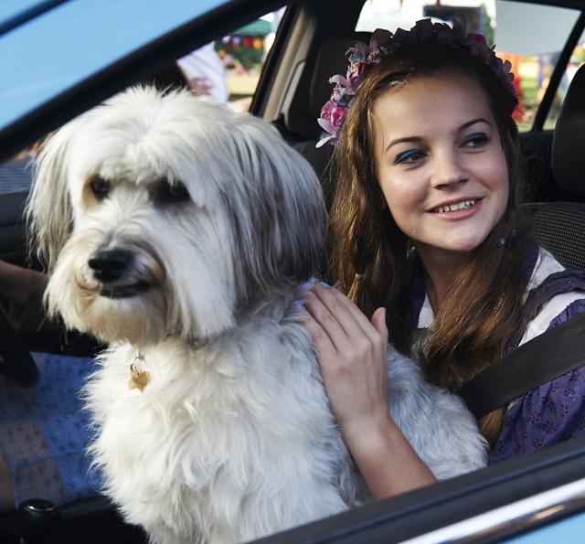 5 kutyabarát kávézó és reggeliző Budapesten