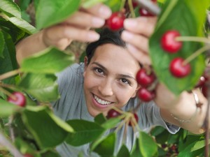Ezeket a gyümölcsfákat ültesd a kertedbe, ha szeretnéd, hogy generációkon keresztül éljenek
