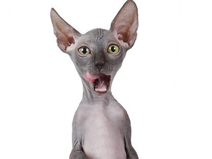 A maszturbálás tényleg hajhullást okoz? 