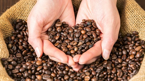 Ez történne a testeddel, ha kávézás helyett elrágcsálnál egy kávébabot