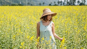 Mi köze a kendernek a fenntarthatósághoz?