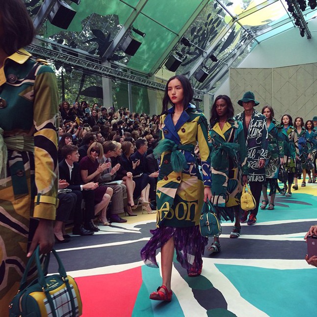 Sárgák, zöldek egyre másra.