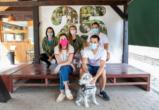 Támogassuk a rászoruló négylábúakat a járvány idején is