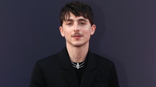 Különös teória terjed Timothée Chalamet-ról, a rajongók próbálják lebuktatni a színészt