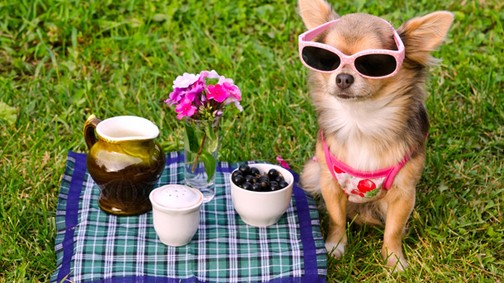 Ezek a növények az egekbe tolják a boldogsághormonjaidat