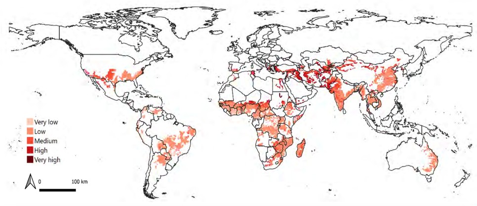 A különböző éghajlati veszélyekből kombinált kockázat szintje a világ gyapottermesztő régióiban (Forrás: Cotton 2040 kezdeményezés tanulmánya)
