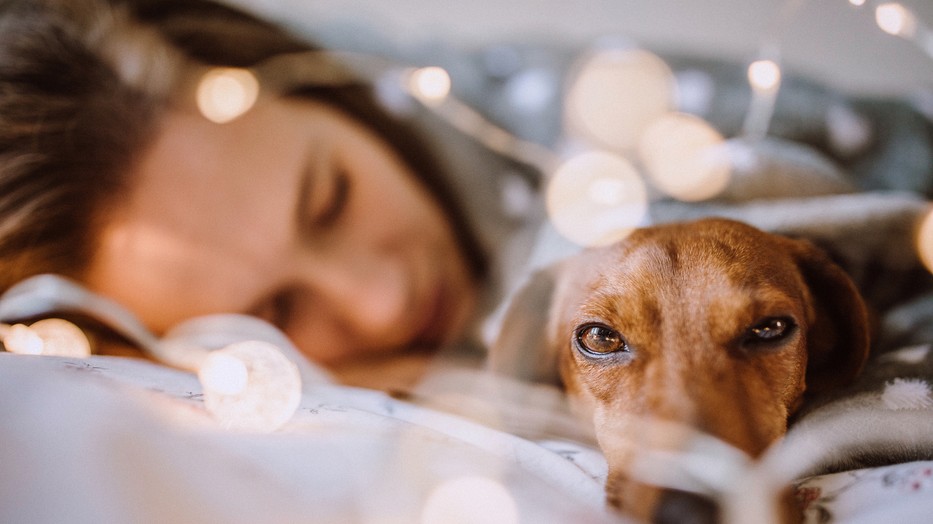 Segítünk eligazodni, milyen betegséghajlamai vannak az Oroszlánnak, a Kosnak és a Nyilasnak, vagyis a tűz elemű csillagjegyeknek