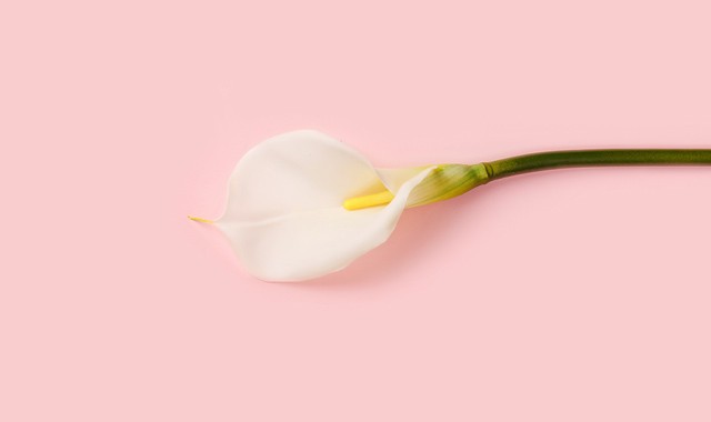 Igen, teljesen oké, ha több orális szexet szeretnél, csak tanuld meg kérni