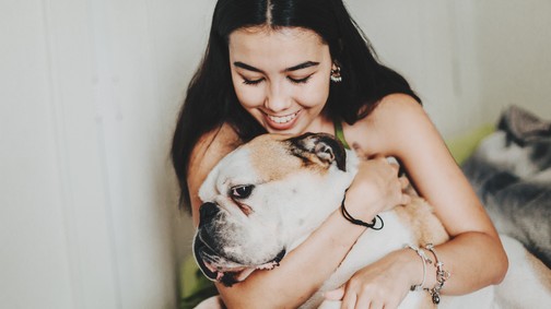 A helyzet nem is lehetne rosszabb, évente több tízezer kutya kerül utcára itthon