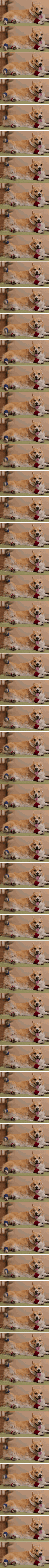 Ezért végezz rendszeres erősítő edzést: akár az életed is megmentheti