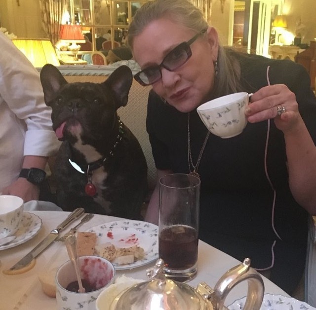 Így reagált Carrie Fisher kutyusa, amikor az új Star Wars-ban meglátta gazdáját! Nagyon megható!