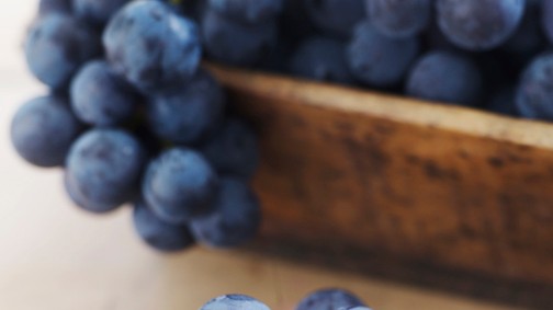 Vigyázz, kész, szőlőszüret!