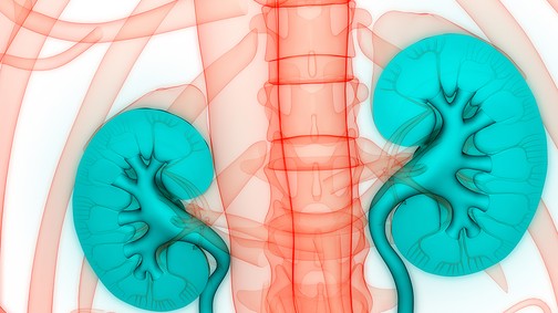 10 jel, hogy baj lehet a veséddel