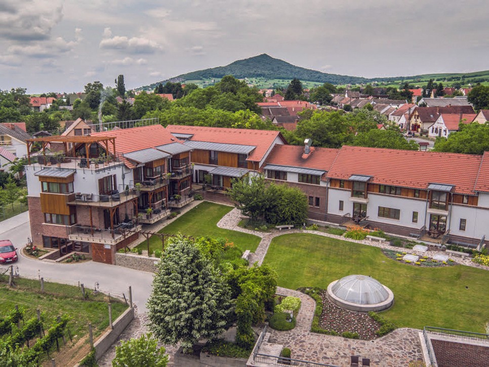 "A bornál, a szőlőnél szebb témát úgysem találhatnék" - interjú Gere Andreával