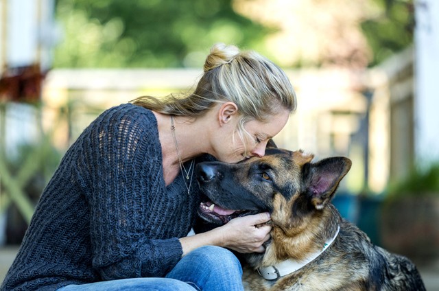 Ezeket a dolgokat gondold át, mielőtt örökbe fogadsz egy kutyát