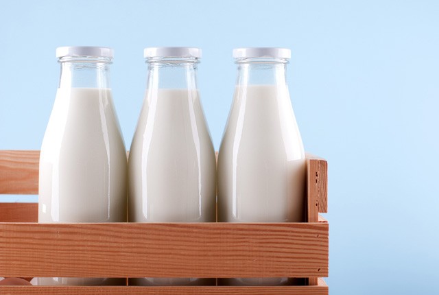 Az új überundi őrület: csótánytej