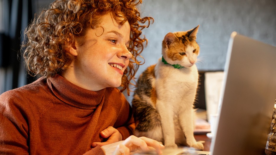 A tisztelet és a türelem olyan értékek, amelyeket egy cica sosem felejt el