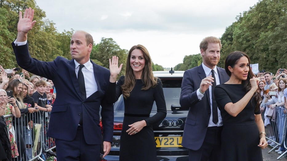 harry herceg katalin hercegne