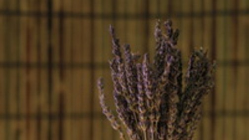 5 illatos tipp - Aromaterápia otthon