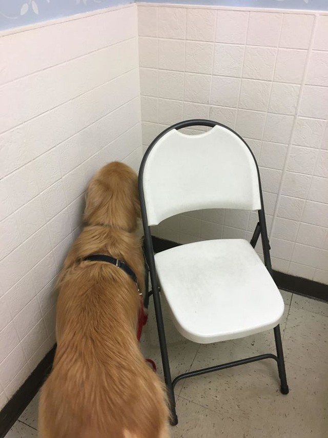 Én itt se vagyok...