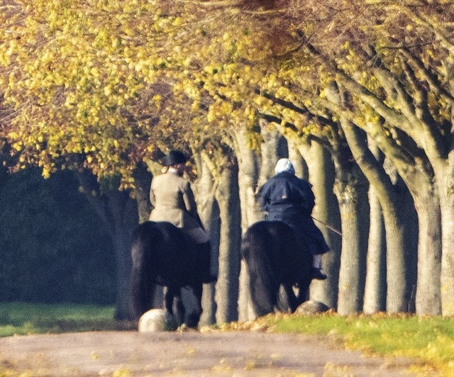 Erzsébet királynő