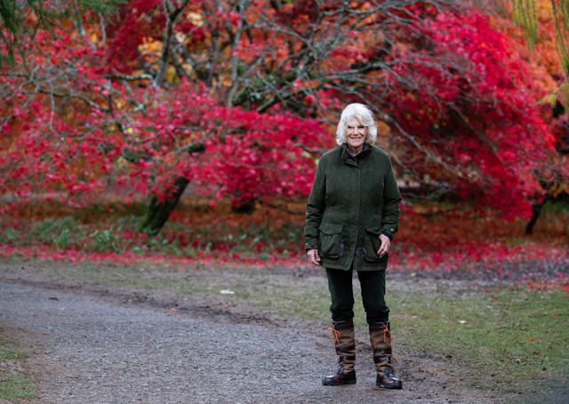 Micsoda marketingfogás: Kamilla egyre stílusosabb