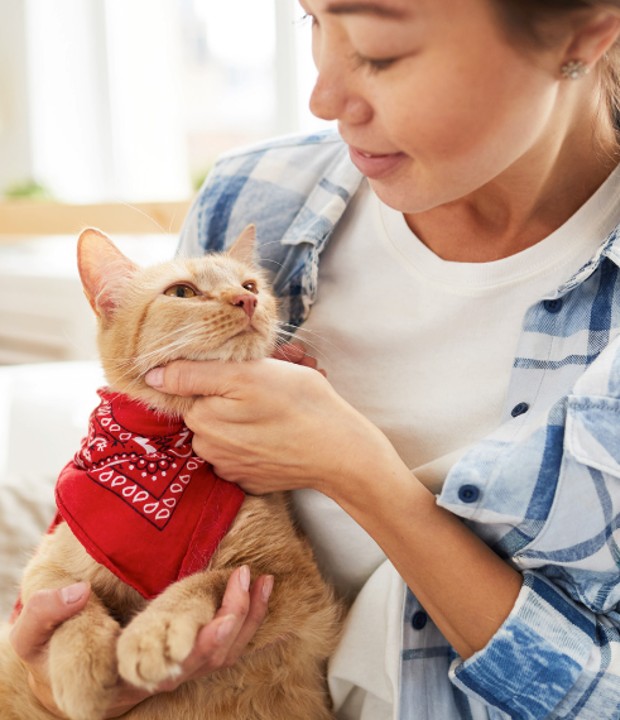 Nyaralni indulsz a cicáddal? Így könnyítheted meg számára az utazást!