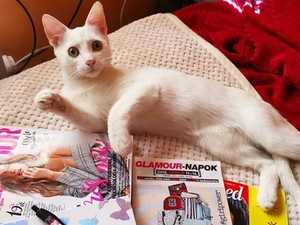 Így készültök ti a GLAMOUR-napokra