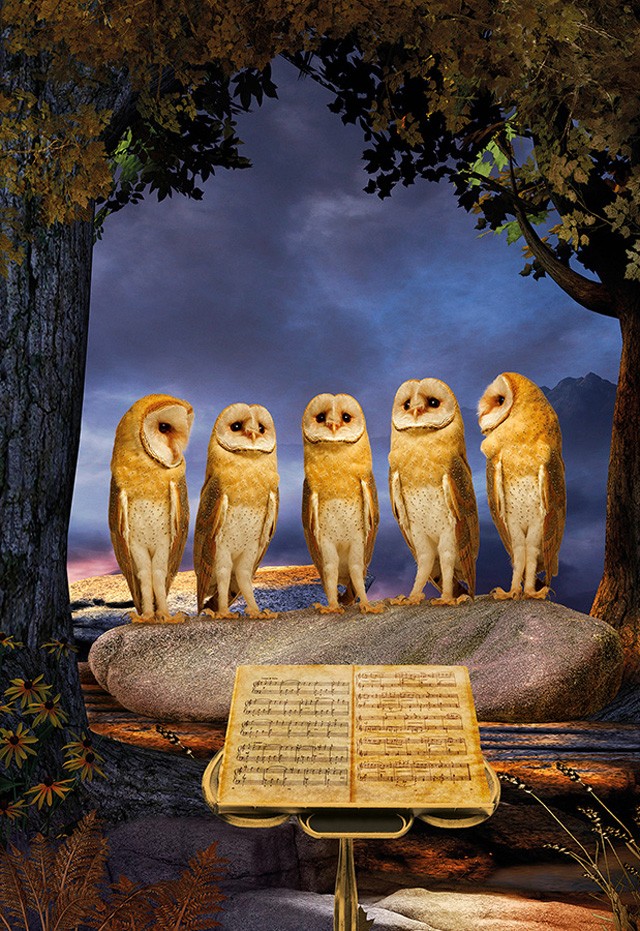 bűvös erdő kiállítás