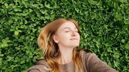 Nem csak a négylevelű lóhere hoz szerencsét! Mutatjuk a háromlevelű lóhere jelentését