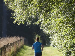 Csak a kezdet nehéz