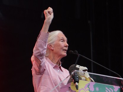 Jobbá teszi-e a Sziget a világot? Jane Goodall átadta a fesztivál legfontosabb üzenetét