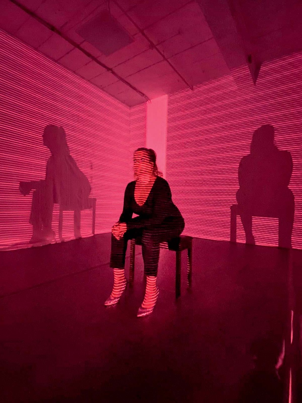 Franciskát mostanában az opera műfaja is egyre inkább megtalálja