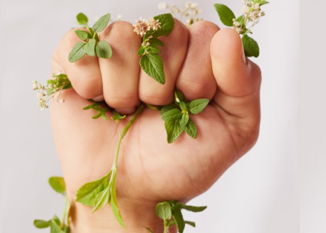 Hatalmas összeggel támogatja a L`Oréal a kiszolgáltatott nőket és a környezet megóvását