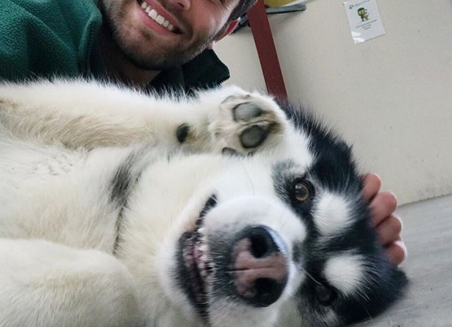 Ez a kutyus gazdája minden arckifejezését leutánozza, mi pedig nem bírunk betelni velük!