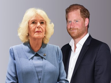 Egyetlen módon tudná rendezni viszonyát Harry herceg és Kamilla királyné, minden Károly király fián múlik