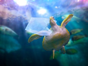 Miért gondol mást négy generáció a fenntarthatóságról?