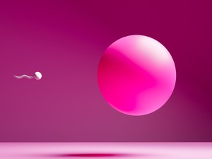 A donorsejtes lombik a terhesség, és az élet lehetőségét adományozza