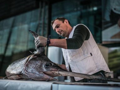 Holnap este egy csúcsragadozóval találkozhatsz a Lupán