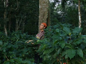 „A környezettudatos életmód nem jár áldozatokkal” - exkluzív interjú Ruth Andrade környezetvédelmi stratégiai vezetővel