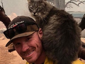 A kaliforniai erdőtűz leghálásabb túlélője: elolvadtunk a cica reakciójától