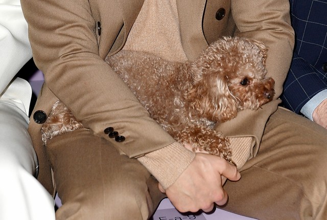 Orlando Bloom kiskutyája ellopta a show-t a milánói divathéten